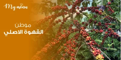 موطن القهوة الاصلي