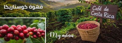 كوستاريكا قهوة