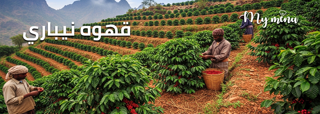 قهوه نيباري