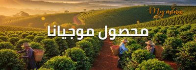 محصول موجيانا